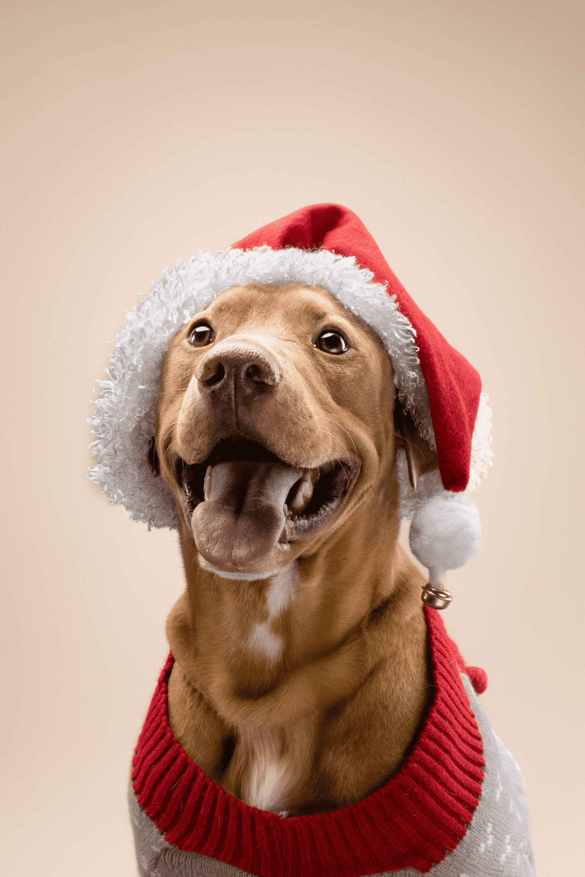 De duelos, sillones rotos, años nuevos y nuevos comienzos