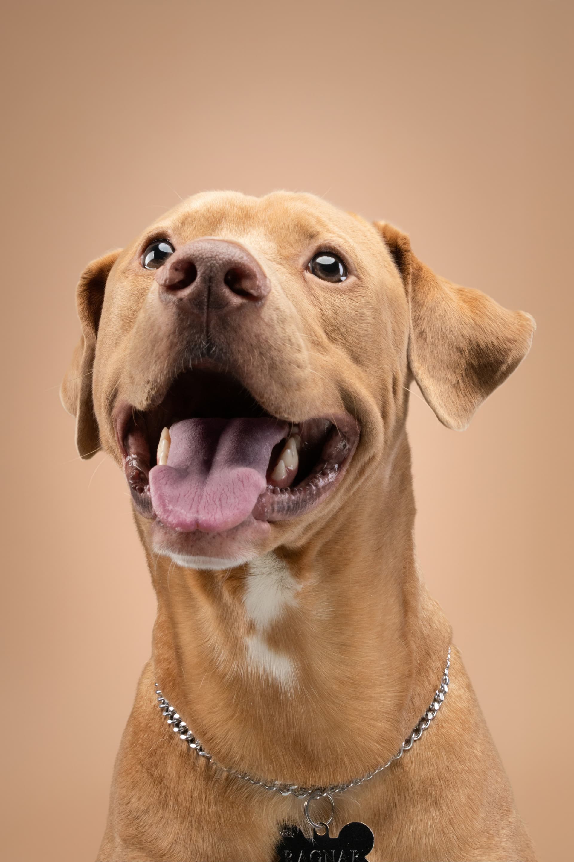 De duelos, sillones rotos, años nuevos y nuevos comienzos