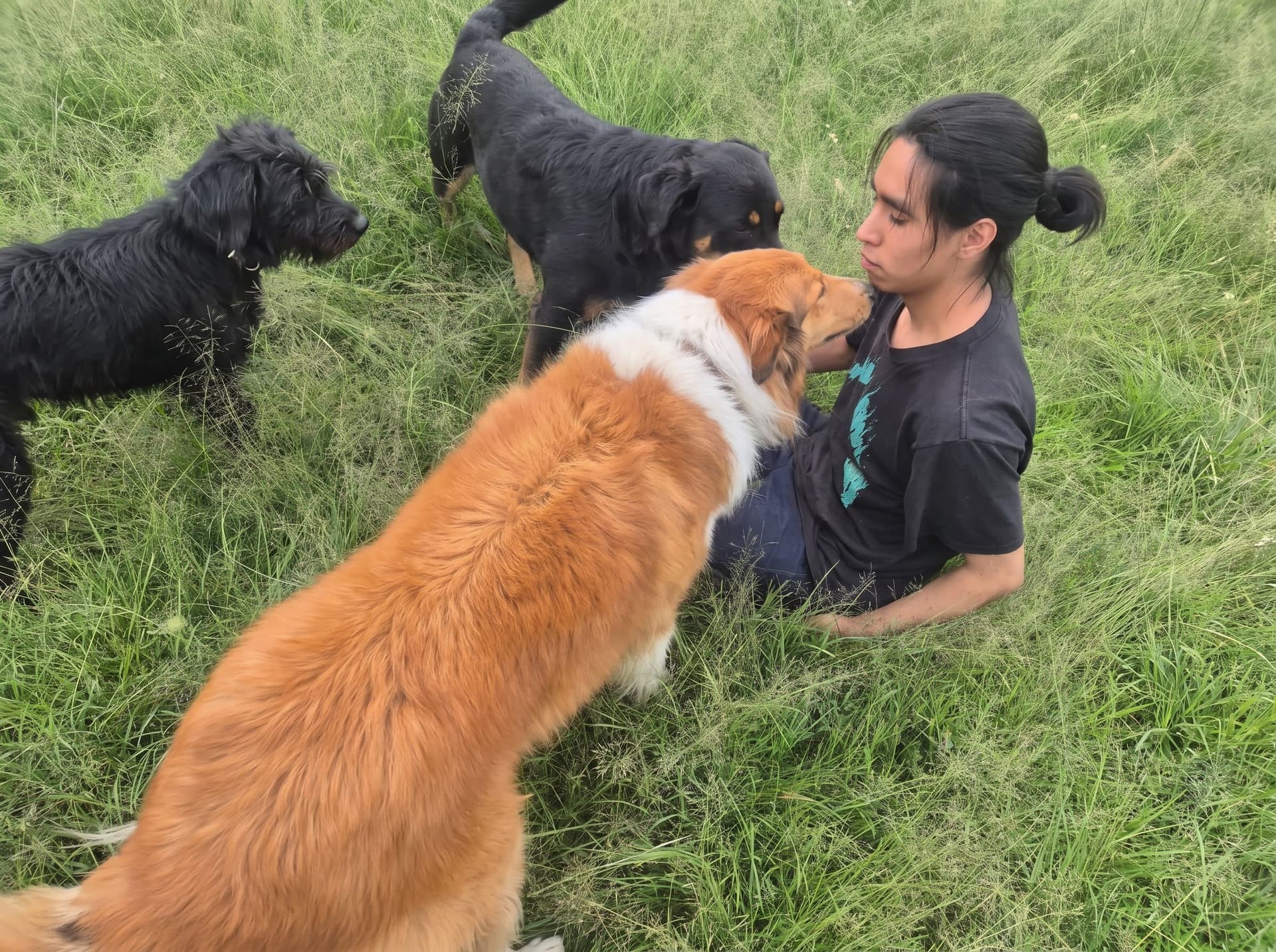 Curitas para Animalitos: la labor de un veterinario que ofrece servicios a personas de bajos recursos en la Ciudad de México