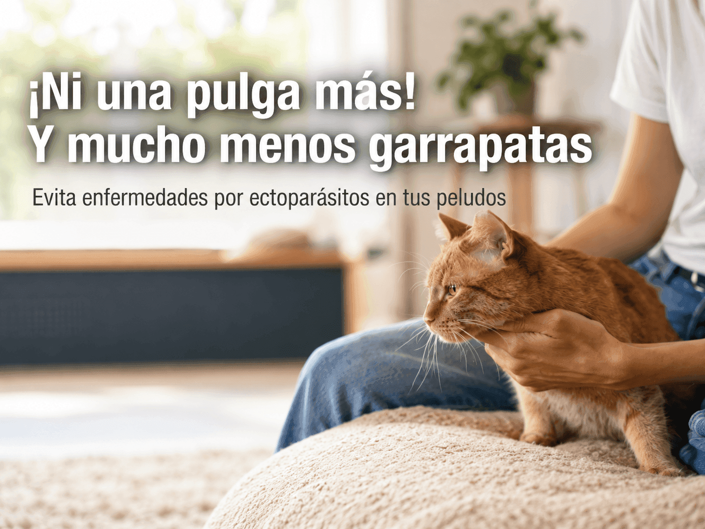 ¡Ni una pulga más! Y mucho menos garrapatas