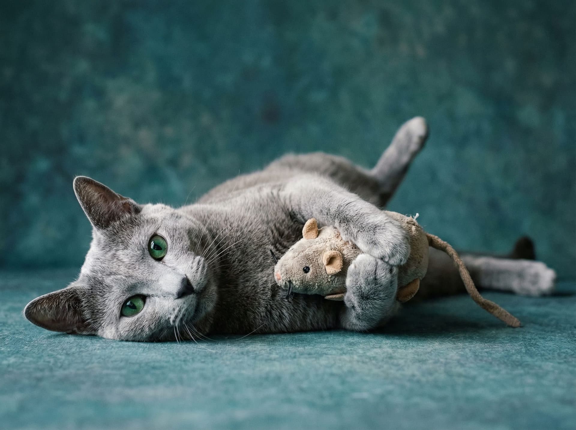 El espía de ojos verdes: origen secreto del azul ruso